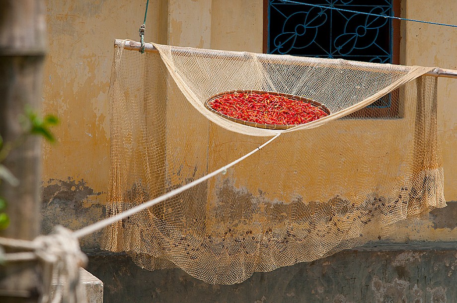 Ramgati - suszenie papryczek chilli (Bangladesz 2010 - część 2/2)